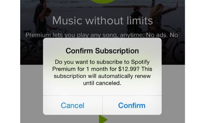 spotify subscription.jpg